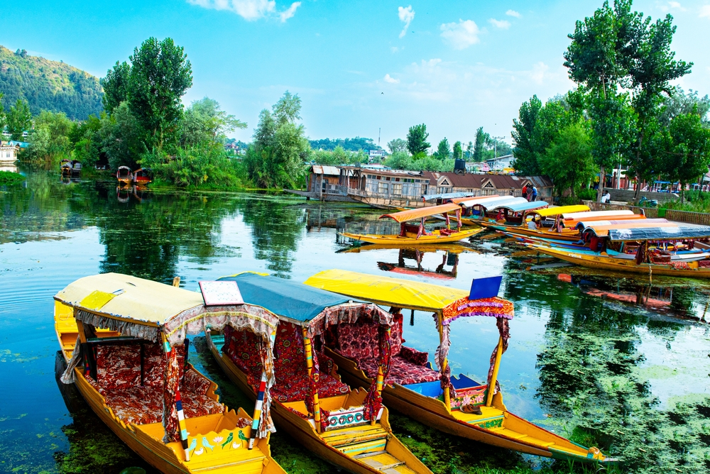 kashmir
